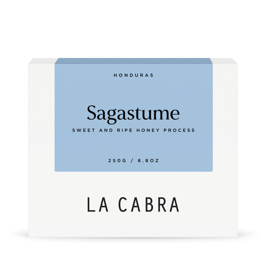 Sagastume Honey Parainema