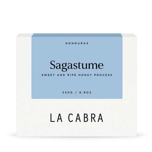 Sagastume Honey Parainema