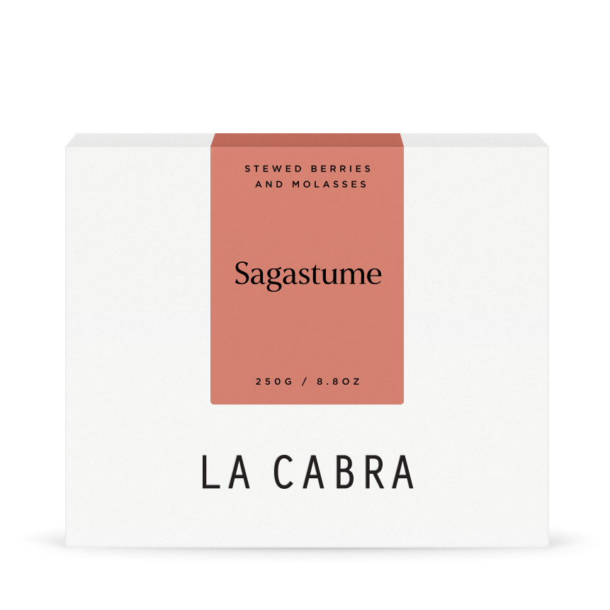 Sagastume Natural SL28 La Cabra Coffee Box 250g