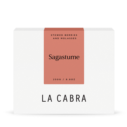 Sagastume Natural SL28 La Cabra Coffee Box 250g