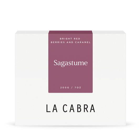 Sagastume Washed SL28-200g Coffee La Cabra