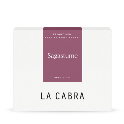 Sagastume Washed SL28-200g Coffee La Cabra