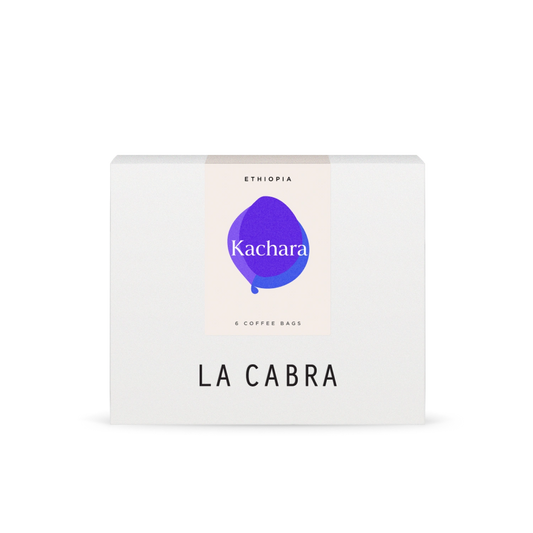 Steeped Kachara Bundle of 6 units 