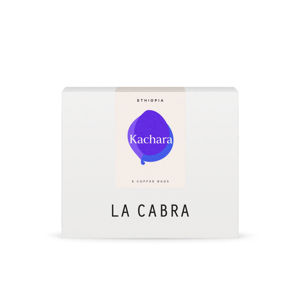 Steeped Kachara Bundle of 6 units 