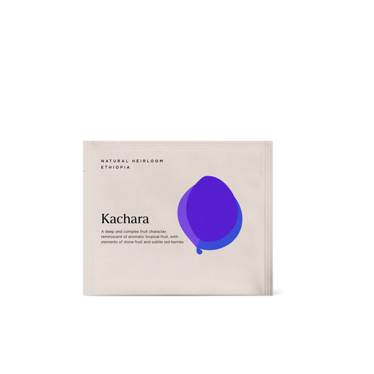 Steeped Kachara Single Unit