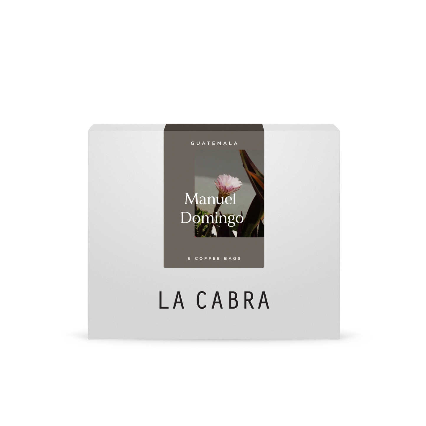 Manuel Domingo Steeped Bundle