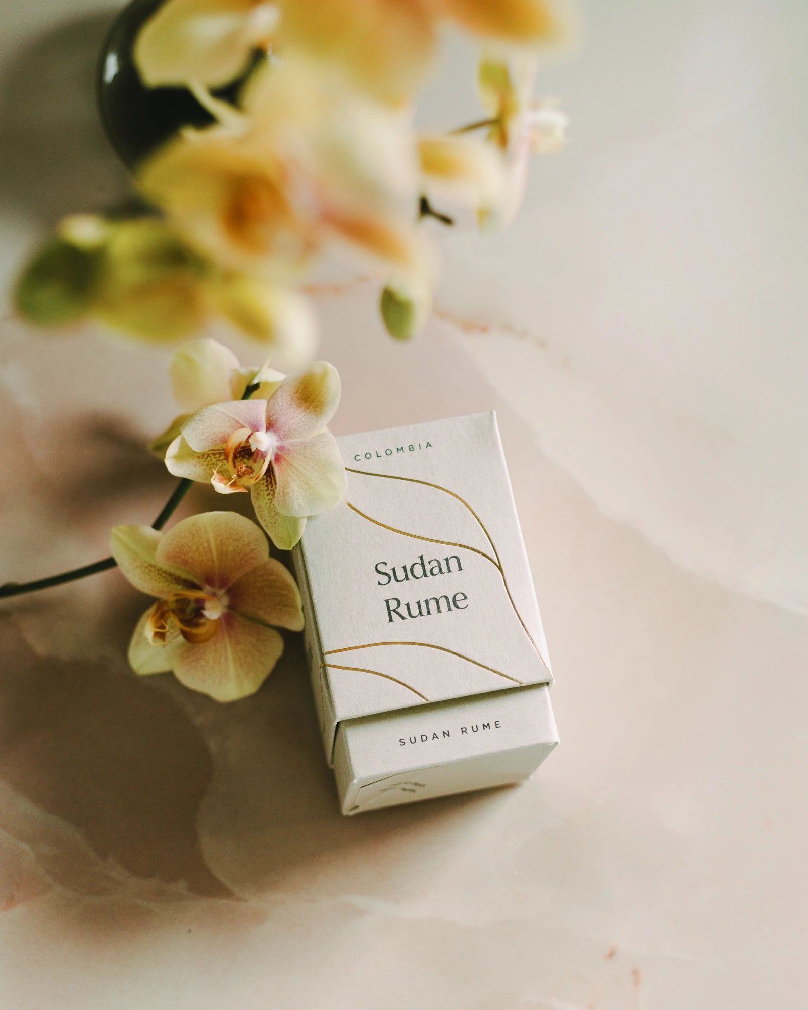 Sudan Rume and Cafe Granja Coffee Focus
