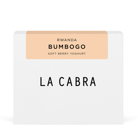 Bumbogo