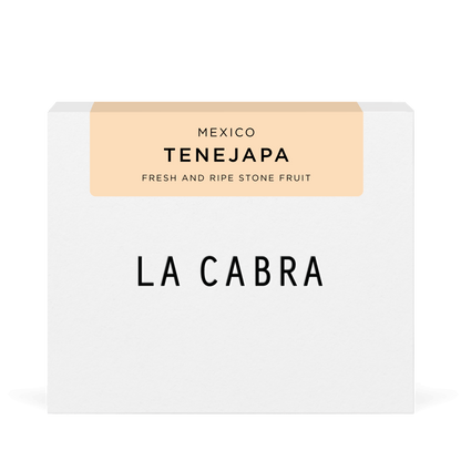 Tenejapa